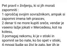 5 pravil
