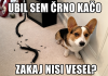 Zakaj ga tako gledate, on je ščitil hišo