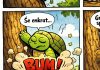 Želva bo izvedela resnico posvojena-želva